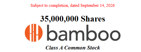 Bamboo Insurance Services, Inc..png
